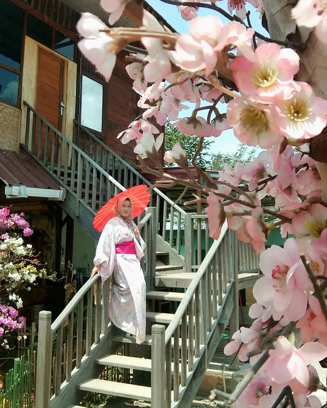 Harga Tiket Masuk, Jalan Menuju Lokasi, Fasilitas, Spot Foto Instagramable, Pesona Taman Sakura