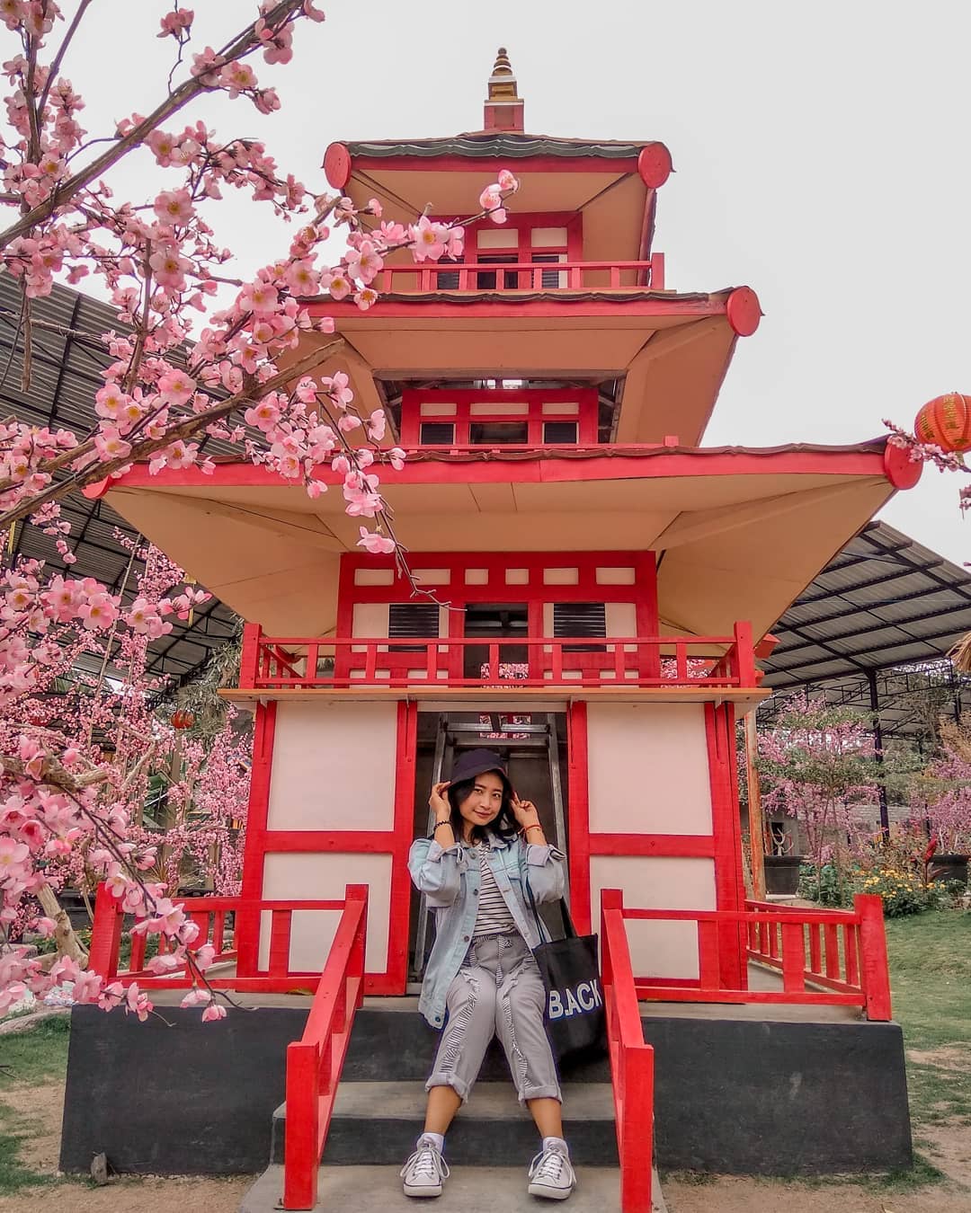Harga Tiket Masuk, Jalan Menuju Lokasi, Fasilitas, Spot Foto Instagenic, Pesona Taman Sakura