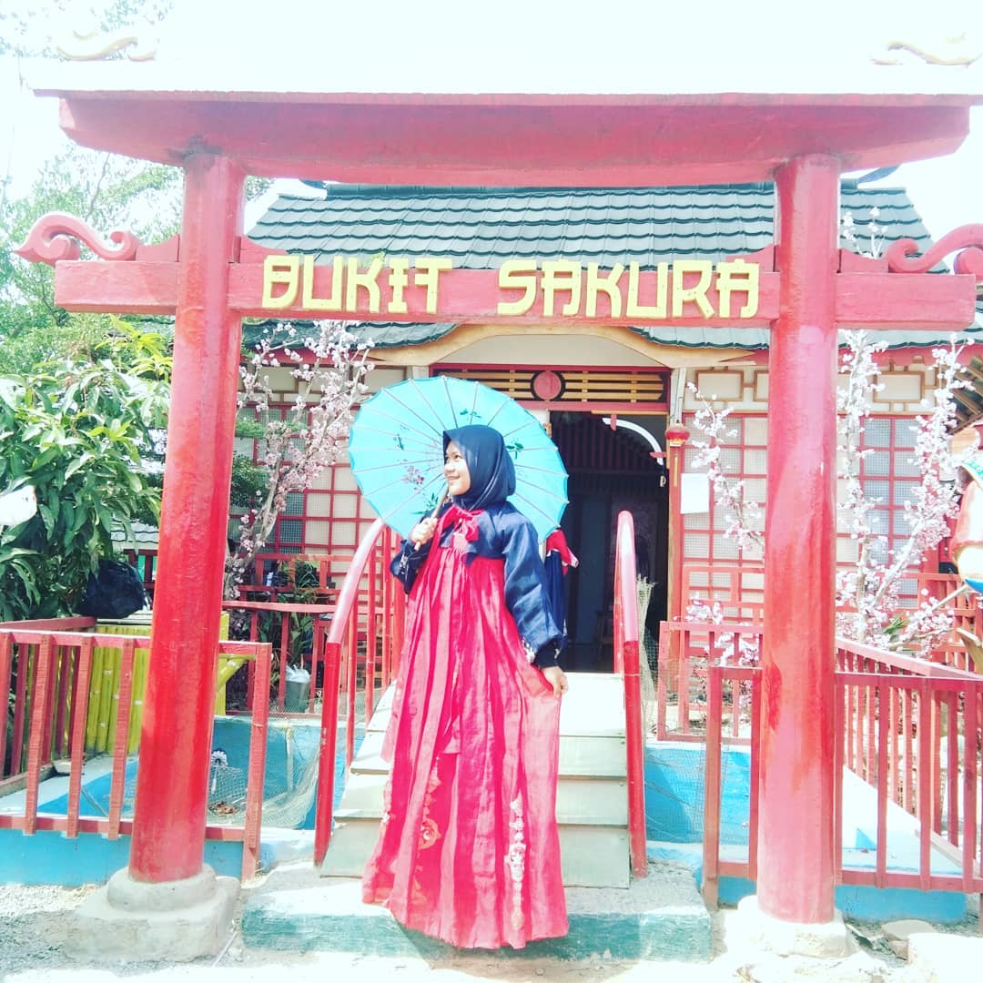 Taman sakura bandar lampung tiket masuk bukit kemiling harga sewa baju di lokasi alamat wisata kota 2025, Harga Tiket Masuk, Jalan Menuju Lokasi, Fasilitas, Spot Foto Instagramable, Pesona Taman Sakura