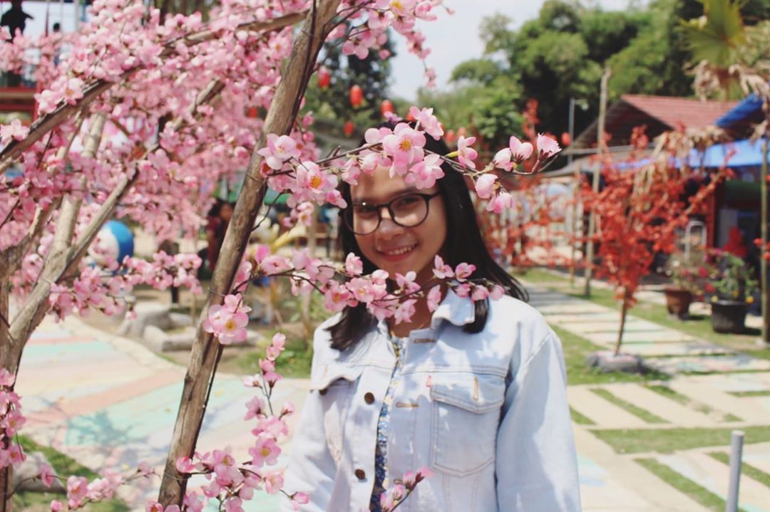 Harga Tiket Masuk, Jalan Menuju Lokasi, Fasilitas, Spot Foto Instagenic, Pesona Taman Sakura