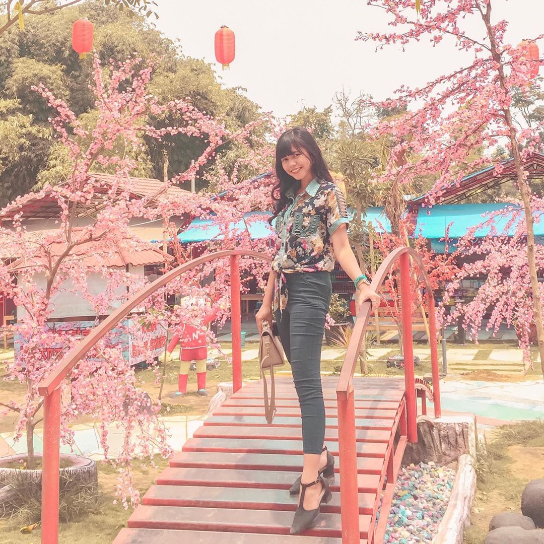 Harga Tiket Masuk, Jalan Menuju Lokasi, Fasilitas, Spot Foto Instagenic, Pesona Taman Sakura