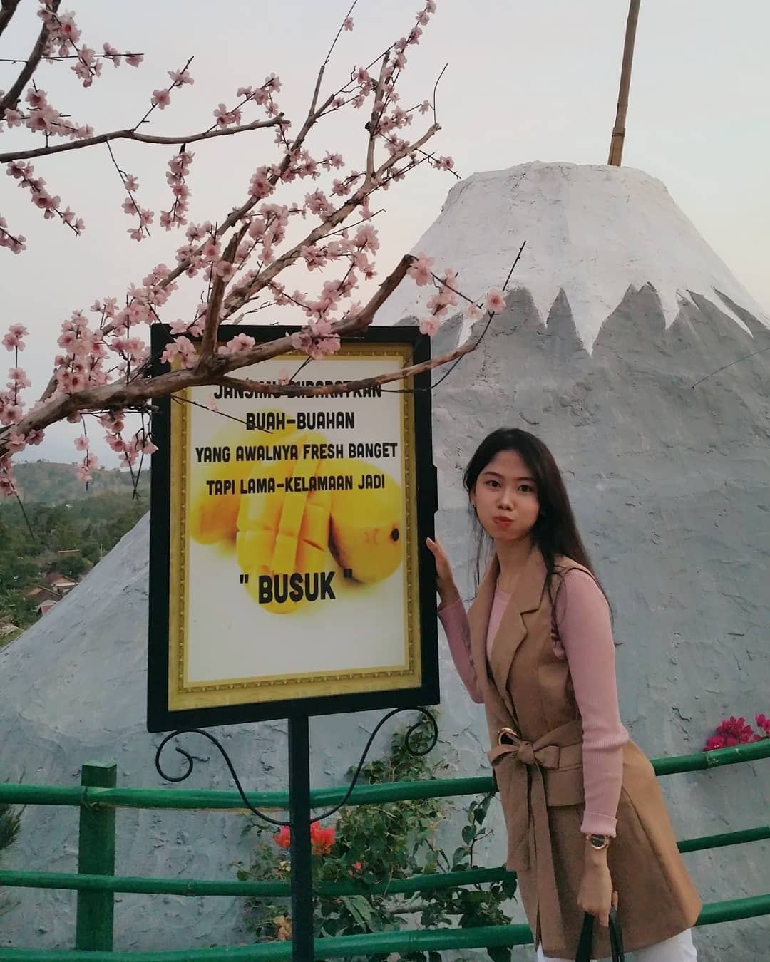 Harga Tiket Masuk, Jalan Menuju Lokasi, Fasilitas, Spot Foto Instagramable, Pesona Taman Sakura