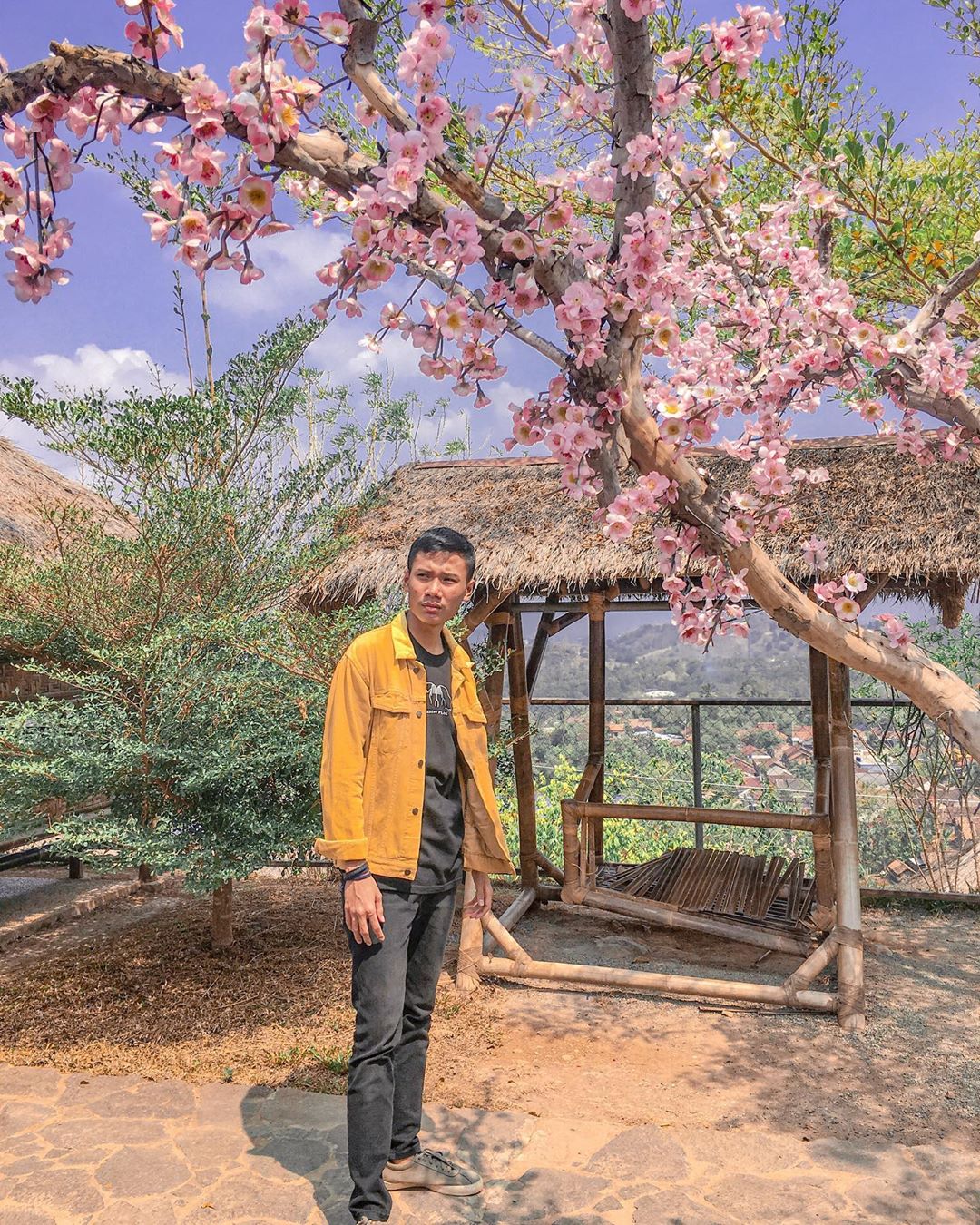 Harga Tiket Masuk, Jalan Menuju Lokasi, Fasilitas, Spot Foto Instagramable, Pesona Taman Sakura