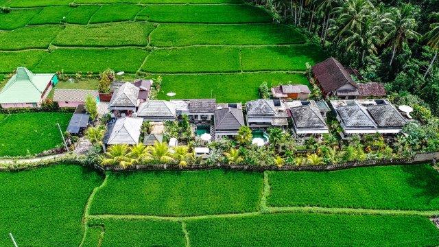 1. Onje Villa, 2. Villa Sunshine, 3. Villa Ole, 4. A Villa Ubud By UHM, 5. Villa Ubud Corner 88, 6. Villa Cinta Ubud, 7. Villa Chempaka, 8. Villa Gusku, 9. Villa JJ&amp;Spa, 10. Villa Ubud Lestari