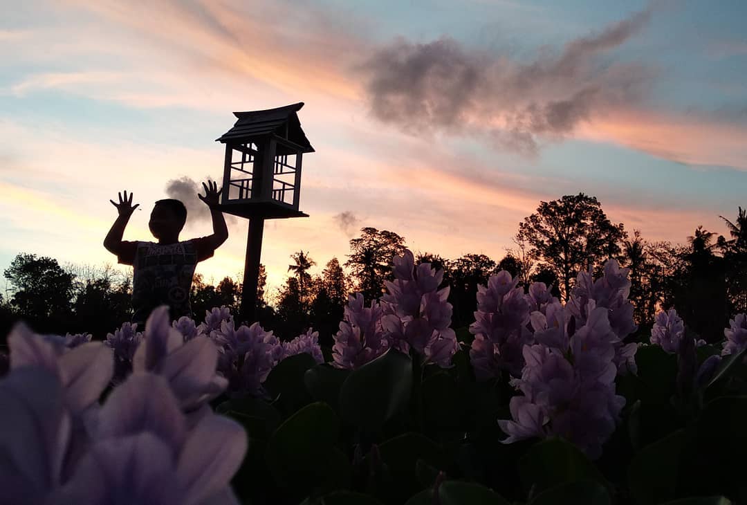 Harga Tiket Masuk, Jalan Menuju Lokasi, Fasilitas, Spot Foto Instagramable , Pesona Kalinampu Natural Park