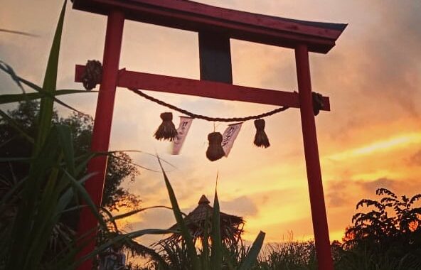 Harga Tiket Masuk, Jalan Menuju Lokasi, Fasilitas, Spot Foto Instagramable , Pesona Kalinampu Natural Park