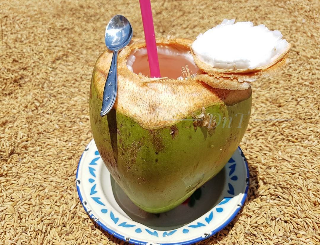 1. Cendol dan Cincau, 2. Ce Hun Tiau, 3. Es Buah Segar, 4. Es Jeruk Songkit, 5. Kelapa Hijau, 6. Sirup Rumput Laut, 7. Es Jagung, 8. Es Tebu, 9. Liang Teh, 10. Es Teler Pontianak