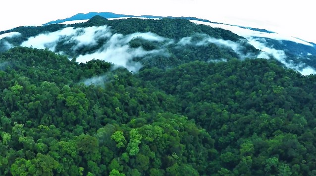 1. Gunung Bukit Raya, 2. Gunung Liangpran, 3. Gunung Menyapa, 4. Gunung Halau-Halau, 5.Gunung Latuk, 6. Gunung Kemul, 7. Gunung Batu Tiban, 8. Gunung Batu Jumak, 9. Gunung Kalambit, 10. Gunung Batutikung