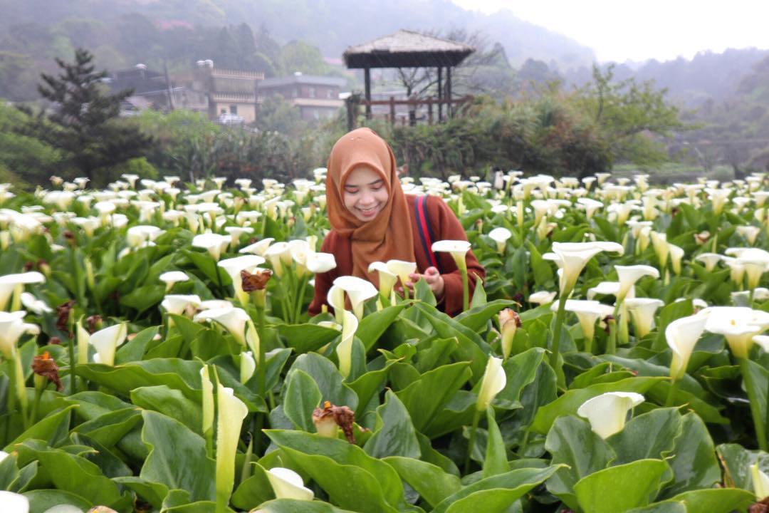 1. Mawar, 2. Melati, 3. Kembang Sepatu, 4. Anggrek, 5. Sakura, 6. Teratai, 7. Tulip, 8. Aster (Daisy), 9. Krisan, 10. Lili