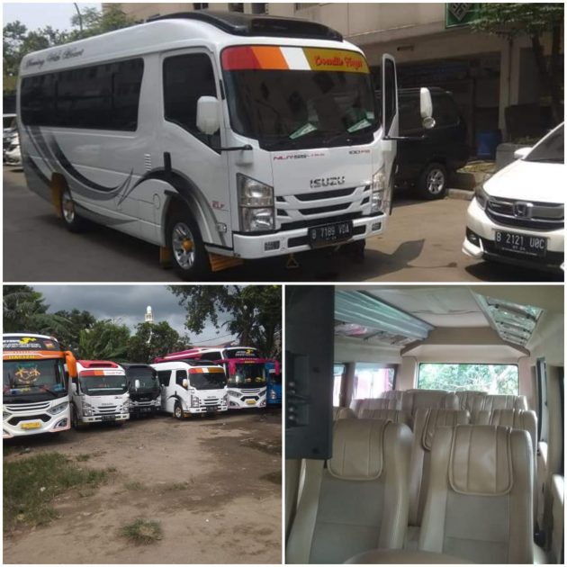 Harga Sewa Elf Jakarta 2025, 1. Sembodo Rent, 2. Gafa Trans, 3. Halim Trans, 4. Nurani Indah, 5. Good Trans, 6. Slamet Happy, 7. Griya Damai Kita, 8. Mahendra Transport, 9. PT JOIN FUN TRANS, 10. Batavia Rent Cars, 11. PT Mitra Utama Armada Wisata, 12. ALEENA TRANS, 13. Mano Marion