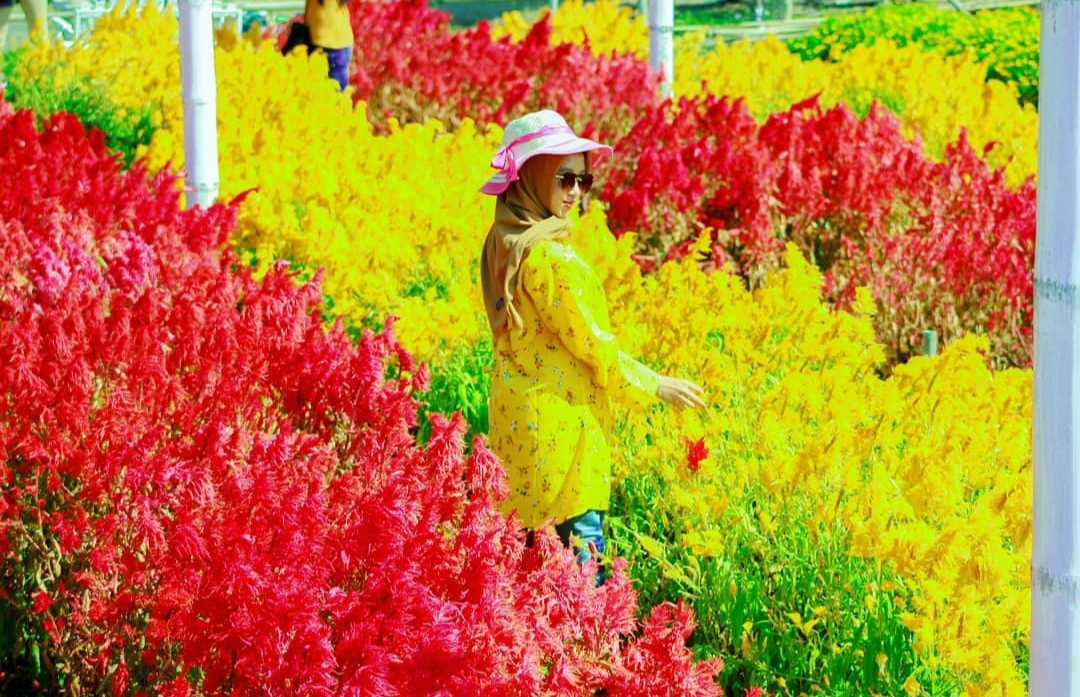 1. Wisata Alam Kalibiru, 2. Agro Wisata Bhumi Merapi, 3. Candi Ratu Boko, 4. Gunung Gambar, 5. Romantic Garden Bantul, 6. Gumuk Pasir Parangkusumo, 7. Honje Restaurant, 8. Abhayagiri Restaurant, 9. Warung Sawah Gondang Legi, 10. Gubug Makan Mang Engking Soragan Castle