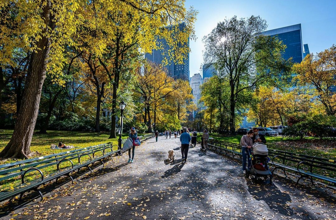 Kilas Balik Sejarah , Kota Sekarang, Saat Siang Hari, Saat Malam Hari, Dari Atas Ketinggian, NYC, Si Kota “The Big Apple”, Fakta Menarik, Destinasi Wisata