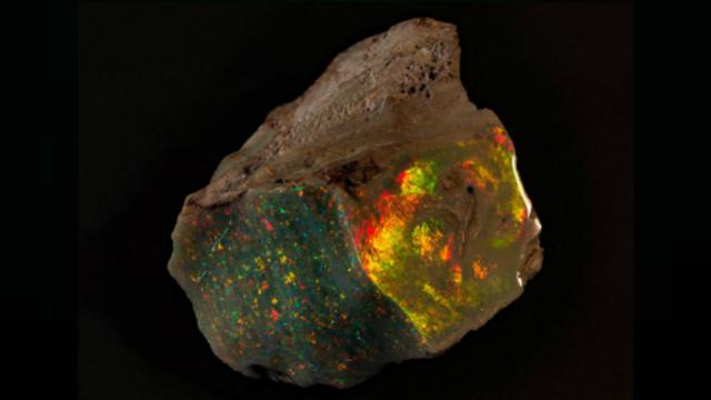 1. Olympic Australis, 2. The Virgin Rainbow, 3. The Flame Queen, 4. Halley’s Comet, 5. Fire of Australia, 6. Aurora Australis, 7. The Fire Queen, 8. Pride of Australia / Red Emperor, 9. Australian Black Opal, 10. Australian Black Crystal