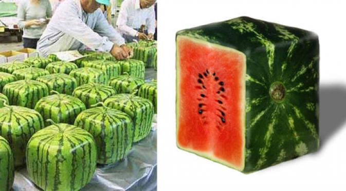 1. Melon Yubari King, 2. Semangka Densuke, 3. Anggur Ruby Roman, 4. Mangga ‘Taiyo no Tamago’, 5. Nanas Cornwall, 6. Semangka Kotak, 7. Stroberi “Sembikiya Queen”, 8. Jeruk Dekopon, 9. Apel ‘Sekai Ichi’, 10. Pir Berbentuk Patung Buddha