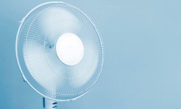 1. Agung Elektronik, 2. Agung New, 3. 23 Elektronik, 4. Ramah Tamah, 5. Electronic City, 6. Wijaya Electronic, 7. Pal Electronic, 8. Sinar Jaya, 9. Abadi Jaya, 10. Mitra Jaya