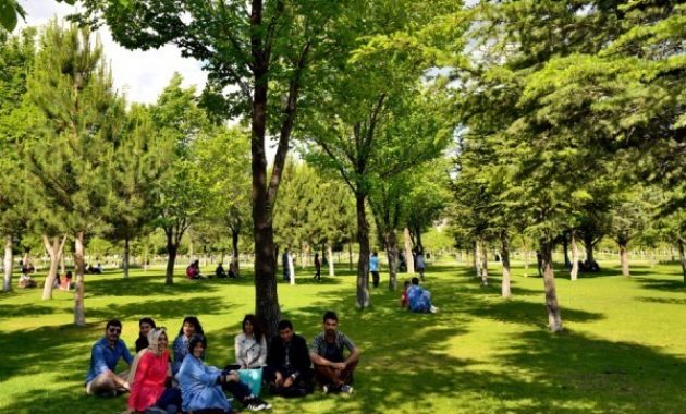 1. Universitas Istanbul, 2. Universitas Boğaziçi, 3. Universitas Ankara, 4. Universitas Teknik Istanbul, 5. Universitas Sakarya, 6. Universitas Marmara, 7. Universitas Anadolu, 8. Universitas Dokuz Eylul, 9. Universitas Ataturk, 10. Universitas Gaziantep, 11. Universitas Teknik Timur Tengah, 12. Universitas Ege, 13. Universitas Yeditepe, 14. Universitas Bursa Uludag, 15. Universitas Firat