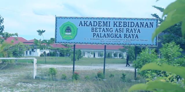 1. Universitas Palangka Raya, 2. Universitas Muhammadiyah Palangkaraya, 3. Universitas Antakusuma, 4. Universitas Darwan Ali, 5. Universitas PGRI Palangka Raya, 6. Universitas Kristen Palangkaraya, 7. Institut Agama Islam Negeri Palangka Raya, 8. Politeknik Kemenkes Palangka Raya, 9. Sekolah Tinggi Manajemen Informatika dan Komputer Palangka Raya, 10. Akademi Kebidanan Betang Asi Raya