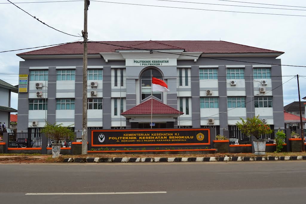 1. Universitas Bengkulu, 2. Universitas Islam Negeri Fatmawati Sukarno, 3. Universitas Muhammadiyah Bengkulu, 4. Politeknik Kesehatan Kemenkes Bengkulu, 5. Universitas Dehasen, 6. Universitas Prof Dr Hazairin, 7. Universitas Ratu Samban, 8. Sekolah Tinggi Ilmu Kesehatan Tri Mandiri Sakti, 9. Sekolah Tinggi Ilmu Kesehatan Sapta Bakti, 10. Politeknik Raflesia