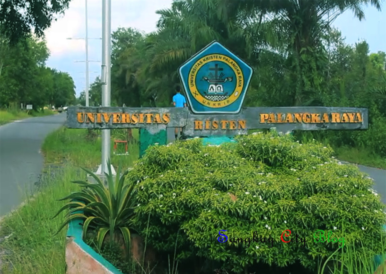 1. Universitas Palangka Raya, 2. Universitas Muhammadiyah Palangkaraya, 3. Universitas Antakusuma, 4. Universitas Darwan Ali, 5. Universitas PGRI Palangka Raya, 6. Universitas Kristen Palangkaraya, 7. Institut Agama Islam Negeri Palangka Raya, 8. Politeknik Kemenkes Palangka Raya, 9. Sekolah Tinggi Manajemen Informatika dan Komputer Palangka Raya, 10. Akademi Kebidanan Betang Asi Raya