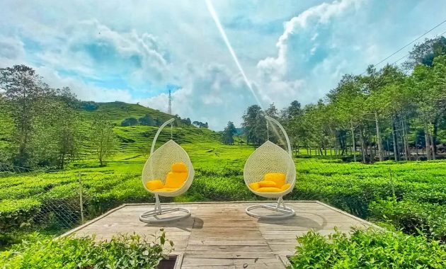 Review Singkat, Daftar Harga Kamar, Harga Menu Makanan, Fasilitas Yang Ada, Rute Menuju Lokasi, Tempat Terkenal di Sekitar