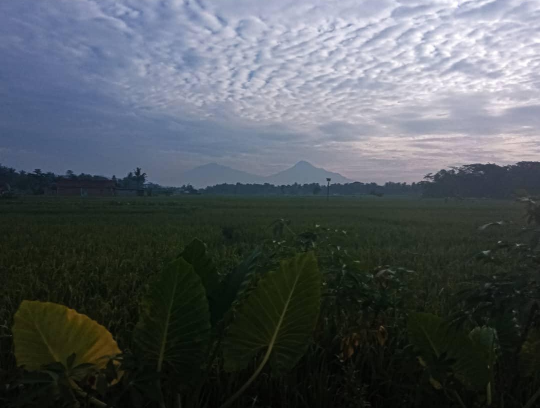 Pemandangan gunung dan danau di Boyolali, 1. Telaga Utama Kandangan – Desa Kandangan, 2. Bendungan Cengklik – Warisan Irigasi Zaman Belanda, 3. Omahtee Kopi – Kedai Kopi Lokal Hits Boyolali, 4. Goa Loyang – Misteri Bawah Tanah Boyolali, 5. Sentra Industri Tahu Telur Boyolali, 6. Alun-Alun Boyolali – Pusat Kota yang Baru Direnovasi, 7. Masjid Al-Munawwaroh – Arsitektur Islami yang Megah, 8. Kebun Teh Samiran – Dataran Tinggi dengan Pemandangan Memukau, 9. Curug Pletuk – Air Terjun Tersembunyi di Kemusu, 10. Museum Susu Boyolali – Edukasi tentang Susu dari Peternakan ke Meja Makan, 11. Agrowisata Kakao dan Kopi Boyolali, 12. Pasar Tradisional Boyolali – Mencoba Suasana Kehidupan Lokal