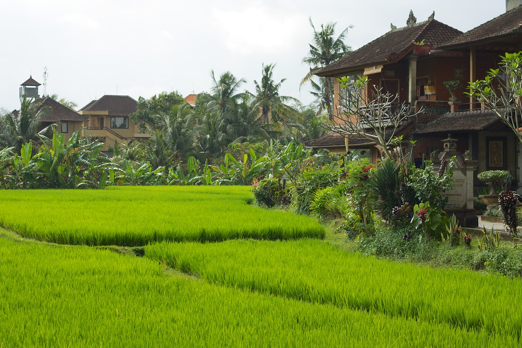7 Hotel Keluarga di Lembang Dekat Dusun Bambu: Akses, Budget, dan Tips Pilih Kamar 1 hotel keluarga lembang dekat dusun bambu, 1. Hotel di koridor Setiabudi-Lembang untuk akses paling aman pagi hari, 2. Hotel dekat Parongpong untuk waktu tempuh ke Dusun Bambu lebih singkat, 3. Kamar family room: cek ukuran kasur tambahan dan ventilasi, 4. Pilih hotel dengan sarapan sederhana tapi konsisten, 5. Periksa akses parkir dan drop-off saat cuaca hujan, 6. Cari properti yang dekat minimarket dan apotek, 7. Gunakan strategi check-in fleksibel untuk hindari jam macet