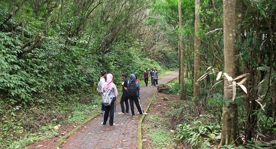 jalan, Akses Jalan, Area Tahura, Goa Jepang dan Goa Belanda, Penangkaran Rusa, Menuju Curug Omas Maribaya