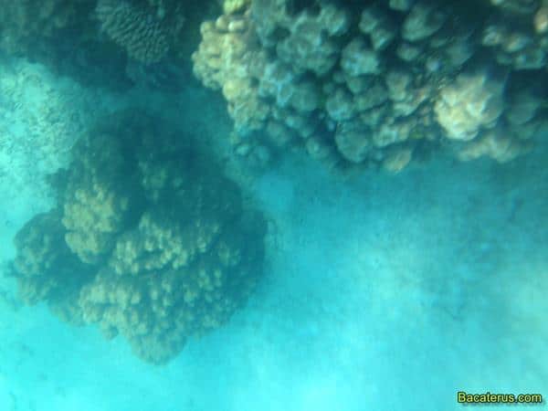 6, Ramah Tamah Dengan Penduduk Asli, Snorkeling Spot, Berburu Matahari, Souvenir
