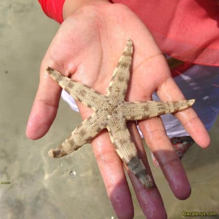 9, Ramah Tamah Dengan Penduduk Asli, Snorkeling Spot, Berburu Matahari, Souvenir