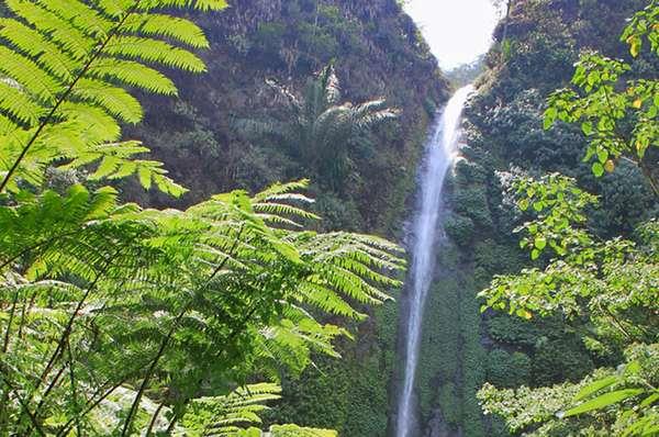 Air Terjun Tancak Jember, 1. Pantai Paseban, 2. Pantai Puger, 3. Pantai Papuma, 4. Pantai Bandealit, 5. Tiara Waterpark, 6. Pemandian Kebon Agung, 7. Pantai Watu Ulo, 8. Air Terjun Tancak Jember, 9. Taman Botani, 10. Puncak Rembangan, 11. Kebun Teh Gunung Gambir, 12. Air Terjun Antrokan Manggisan, 13. Pantai Payangan, 14. Pemandian Patemon, 15. Situs Duplang
