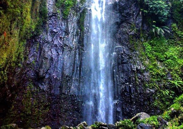 Coban Wilis, 1. Makam Bung Karno, 2. Candi Penataran, 3. Pantai Pangi, 4. Pantai Peh Pulo, 5. Petilasan Rambut Monte, 6. Agrowisata Karangsari, 7. Pantai Tambakrejo, 8. Rafting Soko, 9. Pemandian Sumber Udel, 10. Pantai Serang, 11. Pantai Jolosutro, 12. Goa Embultuk, 13. Candi Gambar Wetan, 14. Pantai Gondo Mayit, 15. Coban Wilis