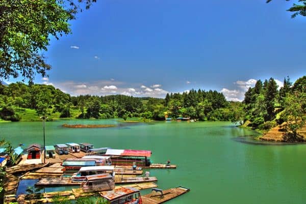 Danau Lido Cigombong, 1. Curug Panjang, 2. Taman Safari Cisarua, 3. Telaga Warna, 4. Kebun Teh Gunung Mas, 5. Curug Cikoneng (Curug Bidadari), 6. Kebun Raya Cibodas, 7. Wisata Citamiang, 8. Penangkaran Rusa Giri Jaya, 9. Danau Lido Cigombong, 10. Taman Bunga Nusantara