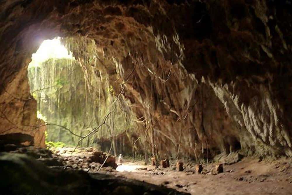 Gua Malawang, 1. Pantai Karang Tawulan, 2. Situ Gede, 3. Pantai Cipatujah, 4. Pantai Sindangkerta, 5. Gua Malawang, 6. Waterboom Maarif Garden, 7. Kawasan Wisata Galunggung, 8. Teejay Waterpark, 9. Kampung Naga, 10. Curug Dengdeng