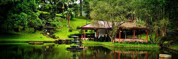 Kebun Raya Cibodas tempat wisata di cianjur, 1. Kebun Raya Cibodas, 2. Taman Bunga Nusantara, 3. Situs Gunung Padang, 4. Pantai Jayanti, 5. Curug Citambur, 6. Telaga Biru, 7. Arung Jeram Sungai Cikundul, 8. Istana Presiden Cipanas, 9. Gunung Gede, 10. Waduk Jangari