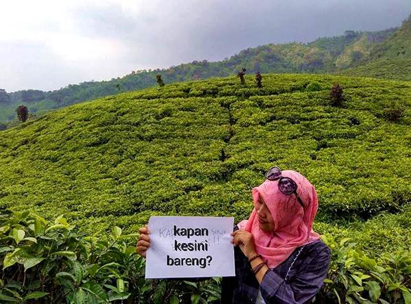 Kebun Teh Gunung Gambir, 1. Pantai Paseban, 2. Pantai Puger, 3. Pantai Papuma, 4. Pantai Bandealit, 5. Tiara Waterpark, 6. Pemandian Kebon Agung, 7. Pantai Watu Ulo, 8. Air Terjun Tancak Jember, 9. Taman Botani, 10. Puncak Rembangan, 11. Kebun Teh Gunung Gambir, 12. Air Terjun Antrokan Manggisan, 13. Pantai Payangan, 14. Pemandian Patemon, 15. Situs Duplang