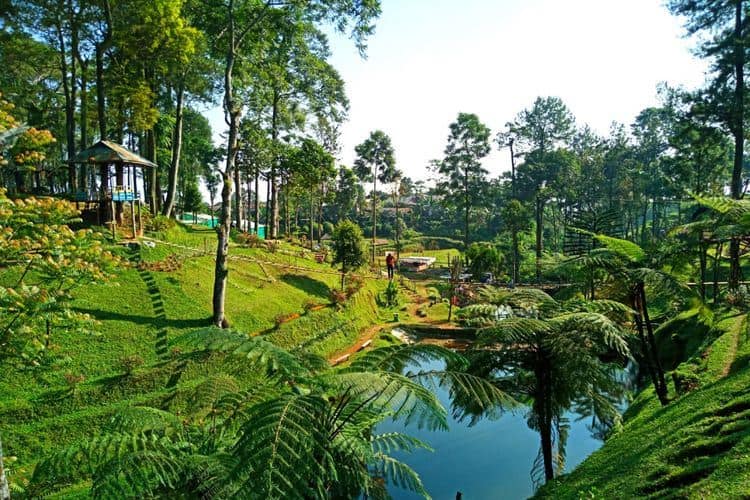 Kebun Teh Pagilaran, 1. Museum Batik, 2. Curug Bajing, 3. Kebun Teh Pagilaran, 4. Pantai Pasir Kencana, 5. Pantai Slamaran Indah, 6. Desa Wisata Lolong, 7. Linggo Asri, 8. Pantai Depok, 9. International Batik Center, 10. Gunung dan Curug Rogojembangan