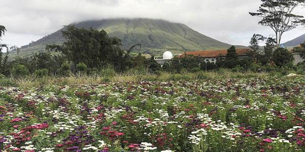 Kota Bunga Tomohon, 1. Taman Laut Bunaken, 2. Pantai Malalayang, 3. Pulau Lihaga, 4. Pulau Siladen, 5. Arung Jeram Timbukar, 6. Monumen Yesus Memberkati, 7. Danau Tondano, 8. Kota Bunga Tomohon, 9. Taman Wisata Tandurusa, 10. Manado Tua, 11. Bukit Kasih, 12. Pulau Lembeh, 13. Taman Laut Tumbak, 14. Air Terjun Kima Atas, 15. Waruga Sawangan