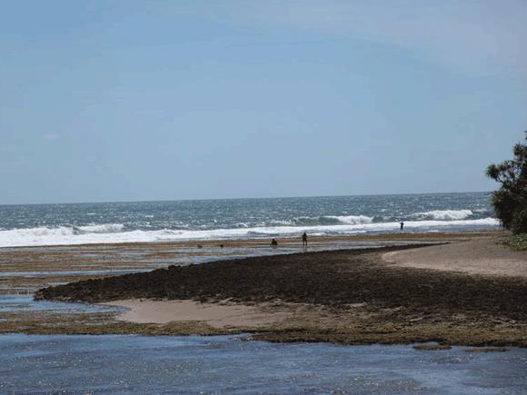 Pantai Sindangkerta, 1. Pantai Karang Tawulan, 2. Situ Gede, 3. Pantai Cipatujah, 4. Pantai Sindangkerta, 5. Gua Malawang, 6. Waterboom Maarif Garden, 7. Kawasan Wisata Galunggung, 8. Teejay Waterpark, 9. Kampung Naga, 10. Curug Dengdeng