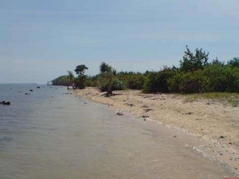 Pantai Teluk Awur, 1. Kepulauan Karimunjawa, 2. Pantai Bandengan, 3. Pantai Pungkruk, 4. Pantai Ombak Mati, 5. Masjid Mantingan, 6. Museum R.A. Kartini, 7. Pantai Kartini, 8. Pulau Panjang, 9. Pantai Teluk Awur, 10. Air Terjun Songgolangit