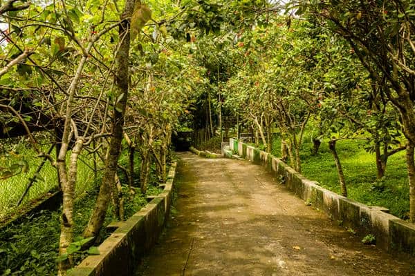 Taman Botani, 1. Pantai Paseban, 2. Pantai Puger, 3. Pantai Papuma, 4. Pantai Bandealit, 5. Tiara Waterpark, 6. Pemandian Kebon Agung, 7. Pantai Watu Ulo, 8. Air Terjun Tancak Jember, 9. Taman Botani, 10. Puncak Rembangan, 11. Kebun Teh Gunung Gambir, 12. Air Terjun Antrokan Manggisan, 13. Pantai Payangan, 14. Pemandian Patemon, 15. Situs Duplang