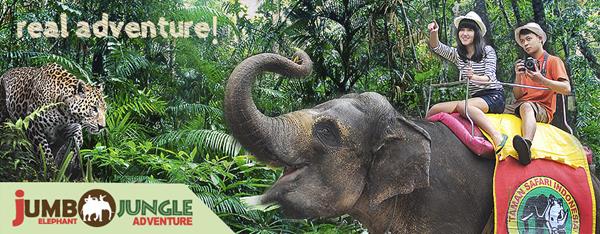 Taman Safari Cisarua, 1. Curug Panjang, 2. Taman Safari Cisarua, 3. Telaga Warna, 4. Kebun Teh Gunung Mas, 5. Curug Cikoneng (Curug Bidadari), 6. Kebun Raya Cibodas, 7. Wisata Citamiang, 8. Penangkaran Rusa Giri Jaya, 9. Danau Lido Cigombong, 10. Taman Bunga Nusantara