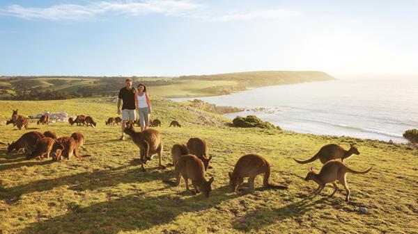 Pulau Kanguru, Great Barrier Reef, Sydney Opera House, Pulau Kanguru, Uluru Ayers Rock, Bondi Beach, Pulau Fraser, Aquarium of Western Australia, Great Ocean Road, Cable Beach, Byron Bay