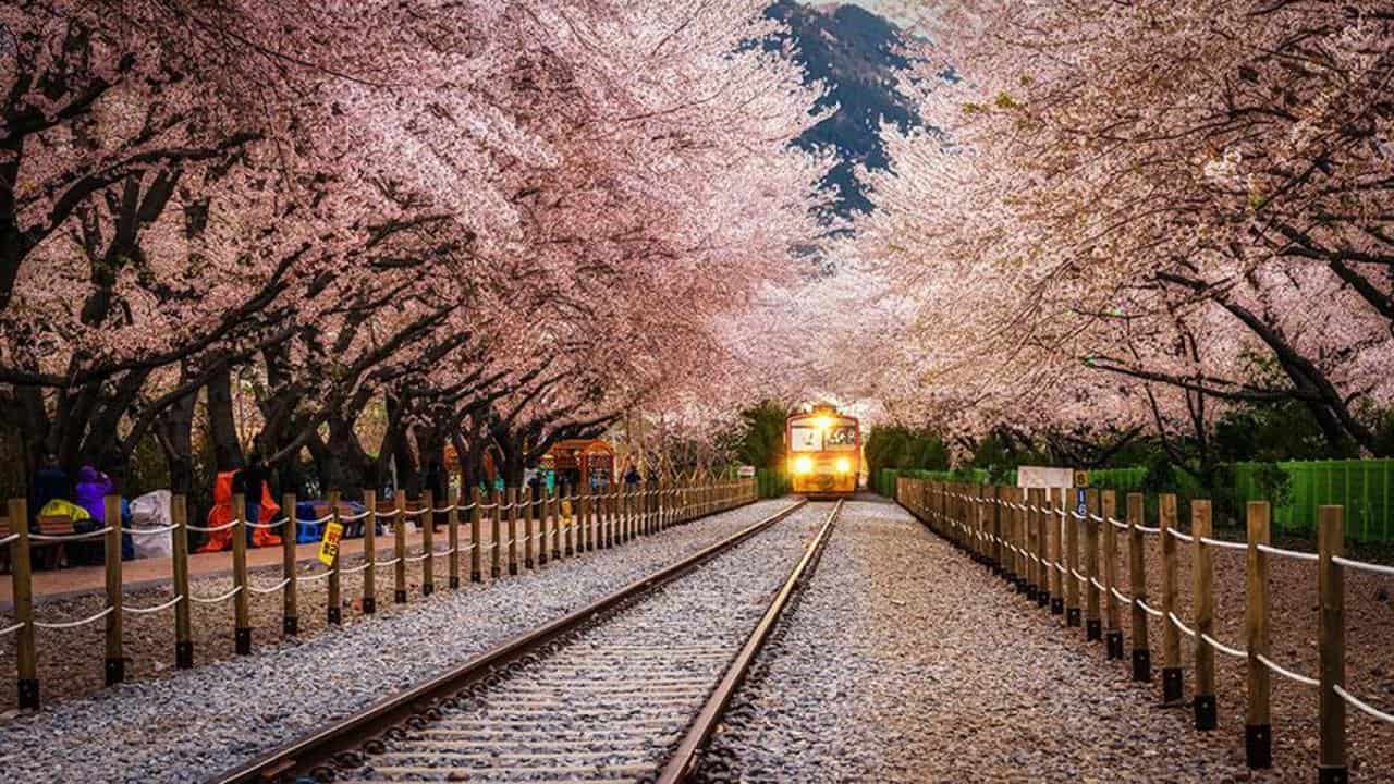 Stasiun-Kyeong-Wha-Jinhae, 1. Nami Island, 2. Pulau Jeju, 3. Bomun Pavilion, 4. Istana Changdeok, 5. Istana Gyeongbok, 6. Bukchon Hanok Village, 7. Taman Nasional Bukhansan, 8. Olympic Park, 9. Haeundae Beach, 10. Stasiun Kyeong-Wha