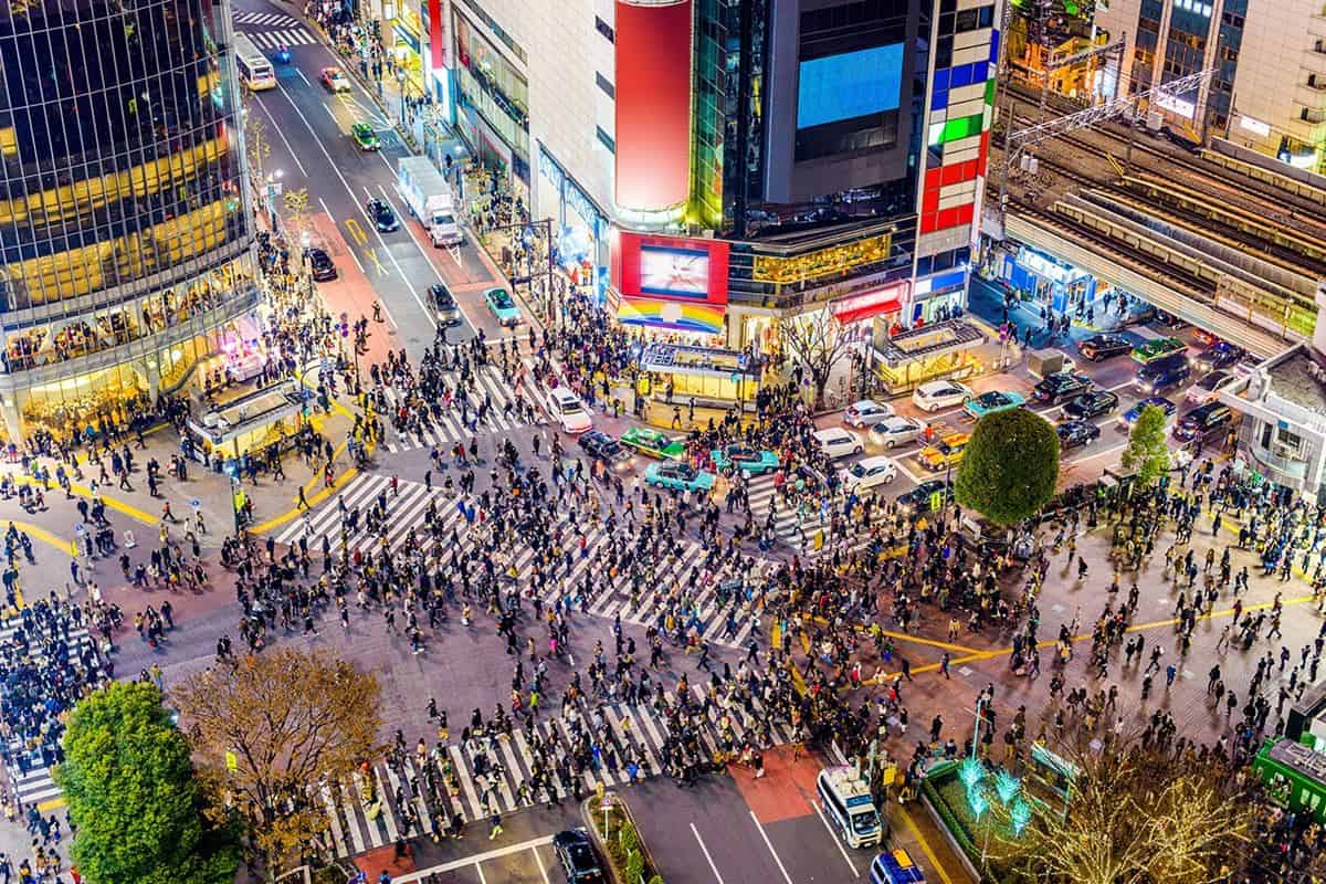 Shibuya Crossing, 1. Tokyo Tower, 2. Sensoji, 3. Shibuya Crossing, 4. Harajuku, 5. Meiji Jingu, 6. Tokyo Skytree, 7. Shinjuku Gyoen, 8. Tokyo Disneyland dan Disneysea, 9. Tsukiji Fish Market, 10. Roppongi, 11. Istana Kekaisaran Tokyo, 12. Ueno Zoo, 13. Odaiba, 14. Ameya-Yokochō, 15. Museum Ghibli