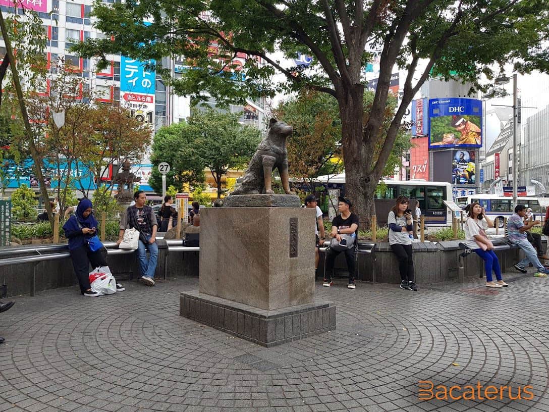 hachiko, 1. Rajin Berburu Tiket Pesawat Murah, 2. Pilih Waktu Liburan di Low Season, 3. Pilih Penginapan yang Murah, 4. Buat Itenerary Sendiri, 5. Bawa Barang Secukupnya, 6. Jalan Kaki dan Naik Kereta, 7. Bawa Bekal Makanan, 8. Kunjungi Objek Wisata Gratis, 9. Beli Oleh-Oleh yang Murah, 10. Jaga Kesehatan Tubuh