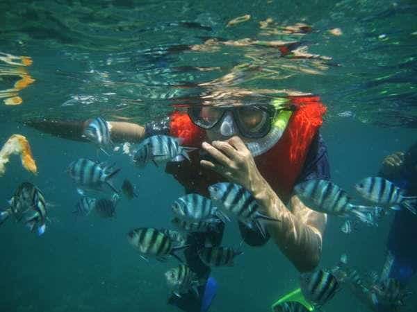 snorkeling karimunjawa, 1. Pilih Transportasi Termurah dari Tempat Anda, 2. Hindari Pergi Saat Musim Hujan, 3. Usahakan untuk Tidak Menjadi Solo Backpacker, 4. Pilih Homestay Sebagai Tempat Menginap, 5. Mencari Makanan yang Murah, 6. Bawa Uang Tunai Secukupnya, 7. Wajib Snorkeling di Karimunjawa, 8. Jangan Lewatkan Sunset di Pantai Ujung Gelam, 9. Trekking Santai di Hutan Mangrove, 10. Bawa Perlengkapan Pribadi