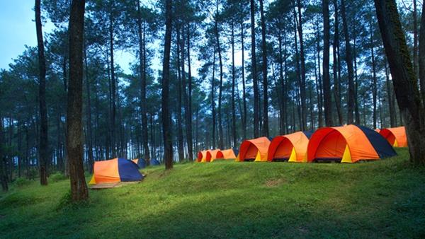 Grafika Cikole, 1. Glamping Lakeside Rancabali, 2. Kampung Cai Ranca Upas, 3. Trizara Resort, 4. Batu Kuda Manglayang Campground, 5. Grafika Cikole, 6. Glamping Legok Kondang Lodge, 7. Pine Forest, 8. Natural Hill, 9. Ciwangun Indah Camp (CIC), 10. Cantigi Camp