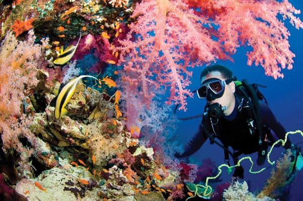 Pertimbangkan untuk Pergi Ke Australia, Buat Rencana Sejak Beberapa Bulan Sebelumnya, Beli Tiket Pesawat Murah, Tentukan Hari Keberangkatan, Cari Promo Penginapan Murah Secara Online, Manfaatkan Promo Agen Perjalanan Tour dan Travel, Cari Rekomendasi dari Traveller Lain, Tak Perlu Ragu Berlibur Ke Eropa, Pertimbangkan untuk Pergi Ke Australia, Berlibur Di Dalam Kota, Tunda Sampai Januari