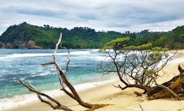 Pantai Ngalur, 1. Pantai Kedung Tumpang, 2. Pantai Molang, 3. Pantai Sanggar dan Pantai Ngalur, 4. Pantai Pathok Gebang, 5. Pantai Ngalur, 6. Pantai Popoh, 7. Pantai Sidem, 8. Pantai Klatak, 9. Pantai Lumbung, 10. Pantai Sine