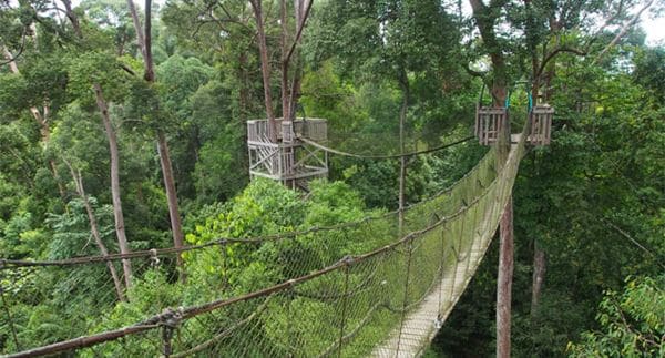 Bukit Bangkirai, 1. Hutan Bakau Margomulyo, 2. Pantai Lamaru, 3. Penangkaran Buaya Teritip, 4. Pantai Kemala, 5. Taman Bekapai, 6. Monumen Perjuangan Rakyat (MONPERA) Balikpapan, 7. Pantai Banua Patra, 8. Kampung Atas Air Margasari, 9. Gunung Dubs, 10. Hutan Wanawisata, 11. Caribbean Island Waterpark, 12. Pantai Manggar Segarasari, 13. Bukit Bangkirai, 14. Pantai Melawai, 15. Danau Cermin Lamaru